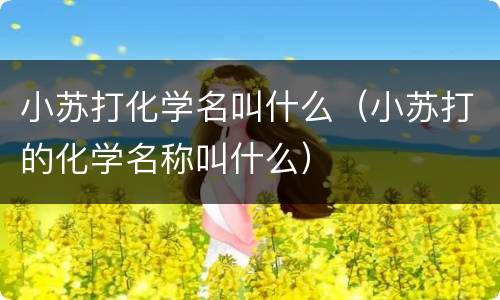小苏打化学名叫什么（小苏打的化学名称叫什么）
