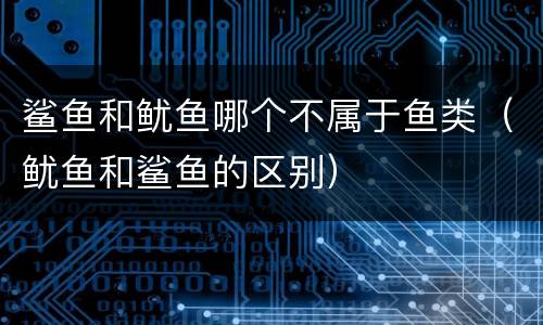 鲨鱼和鱿鱼哪个不属于鱼类（鱿鱼和鲨鱼的区别）