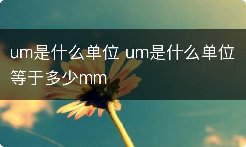 um是什么单位 um是什么单位 等于多少mm