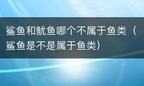 鲨鱼和鱿鱼哪个不属于鱼类（鲨鱼是不是属于鱼类）