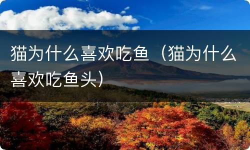 猫为什么喜欢吃鱼（猫为什么喜欢吃鱼头）