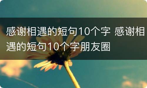 感谢相遇的短句10个字 感谢相遇的短句10个字朋友圈