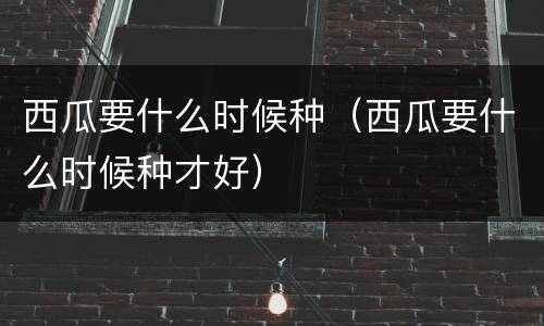 西瓜要什么时候种（西瓜要什么时候种才好）