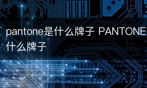 pantone是什么牌子 PANTONE是什么牌子