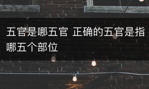 五官是哪五官 正确的五官是指哪五个部位