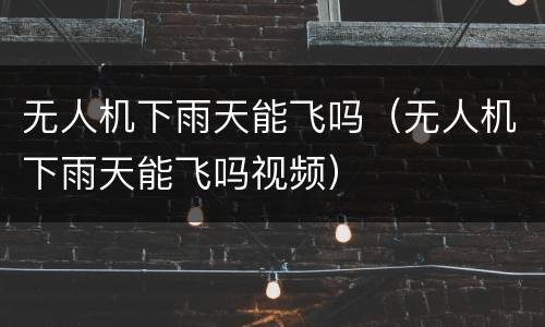 无人机下雨天能飞吗（无人机下雨天能飞吗视频）