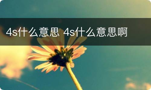 4s什么意思 4s什么意思啊