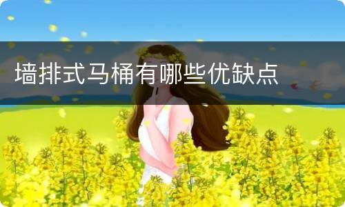 墙排式马桶有哪些优缺点