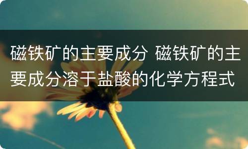 磁铁矿的主要成分 磁铁矿的主要成分溶于盐酸的化学方程式