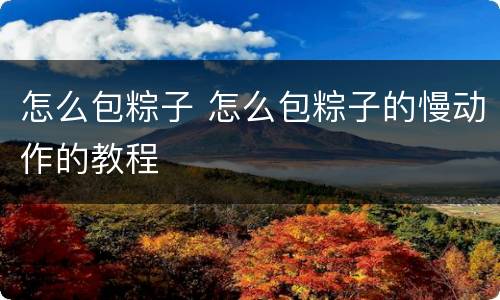 怎么包粽子 怎么包粽子的慢动作的教程