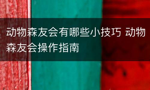 动物森友会有哪些小技巧 动物森友会操作指南