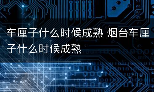 车厘子什么时候成熟 烟台车厘子什么时候成熟
