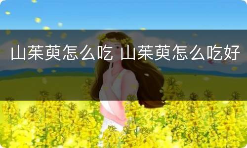 山茱萸怎么吃 山茱萸怎么吃好