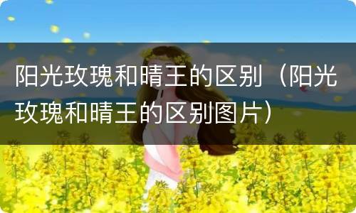 阳光玫瑰和晴王的区别（阳光玫瑰和晴王的区别图片）