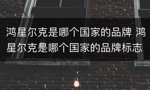 鸿星尔克是哪个国家的品牌 鸿星尔克是哪个国家的品牌标志