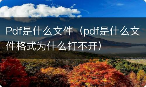 Pdf是什么文件（pdf是什么文件格式为什么打不开）
