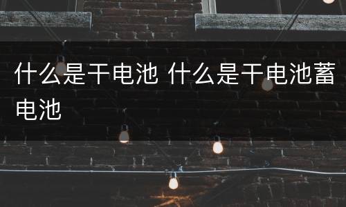 什么是干电池 什么是干电池蓄电池