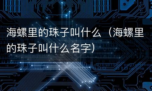 海螺里的珠子叫什么（海螺里的珠子叫什么名字）