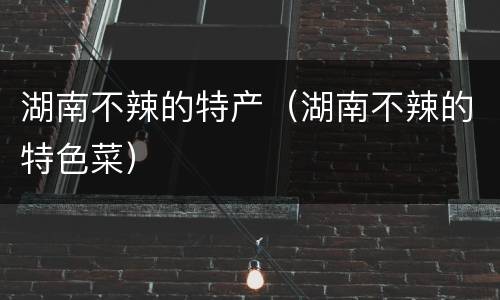 湖南不辣的特产（湖南不辣的特色菜）