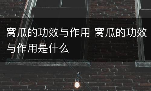 窝瓜的功效与作用 窝瓜的功效与作用是什么