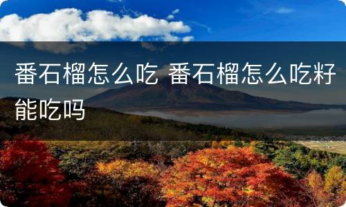 番石榴怎么吃 番石榴怎么吃籽能吃吗