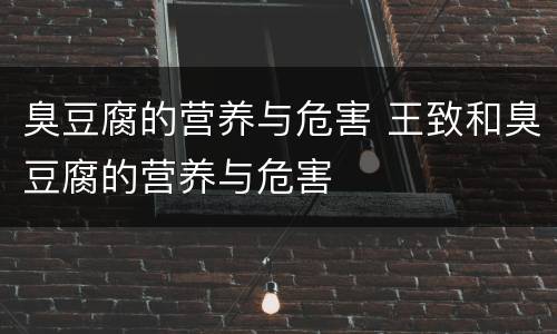 臭豆腐的营养与危害 王致和臭豆腐的营养与危害