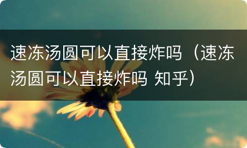 速冻汤圆可以直接炸吗（速冻汤圆可以直接炸吗 知乎）