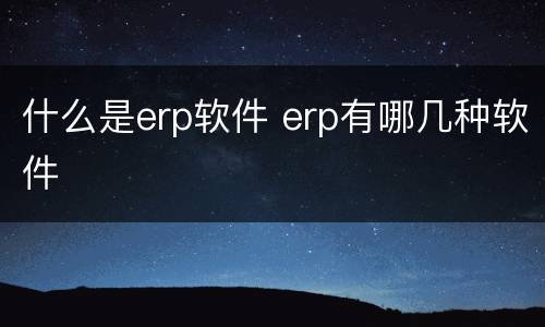 什么是erp软件 erp有哪几种软件