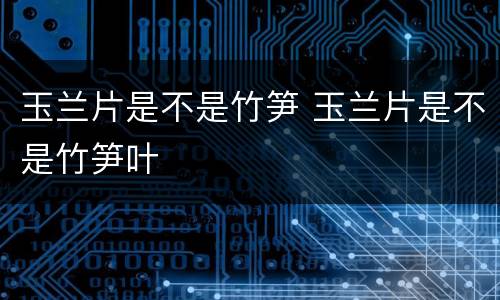 玉兰片是不是竹笋 玉兰片是不是竹笋叶