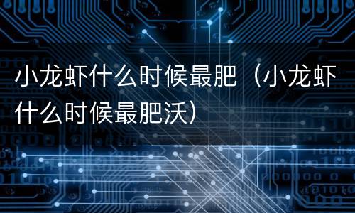 小龙虾什么时候最肥（小龙虾什么时候最肥沃）