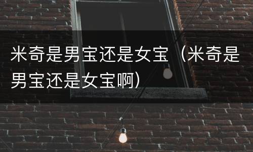 米奇是男宝还是女宝（米奇是男宝还是女宝啊）