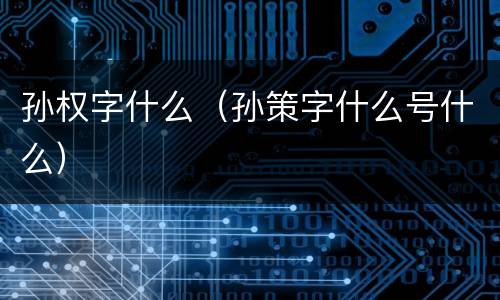 孙权字什么（孙策字什么号什么）