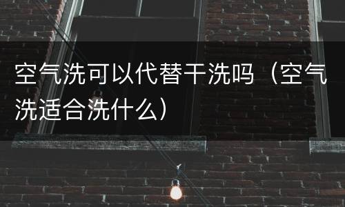 空气洗可以代替干洗吗（空气洗适合洗什么）