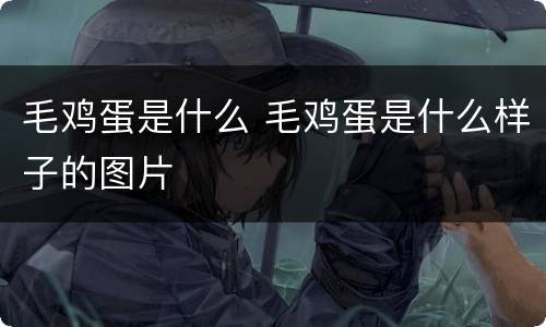毛鸡蛋是什么 毛鸡蛋是什么样子的图片