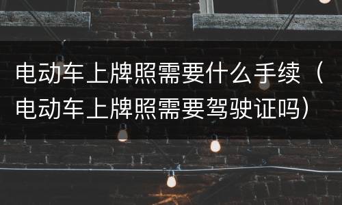 电动车上牌照需要什么手续（电动车上牌照需要驾驶证吗）