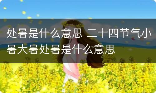 处暑是什么意思 二十四节气小暑大暑处暑是什么意思