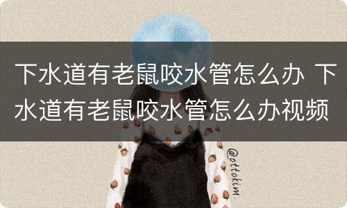 下水道有老鼠咬水管怎么办 下水道有老鼠咬水管怎么办视频