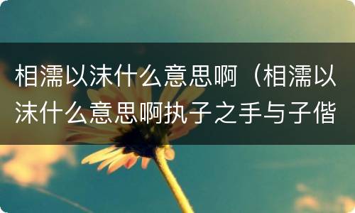 相濡以沫什么意思啊（相濡以沫什么意思啊执子之手与子偕老）