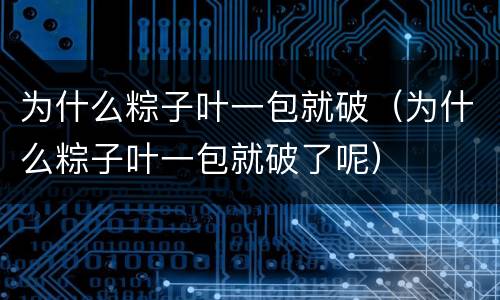 为什么粽子叶一包就破（为什么粽子叶一包就破了呢）