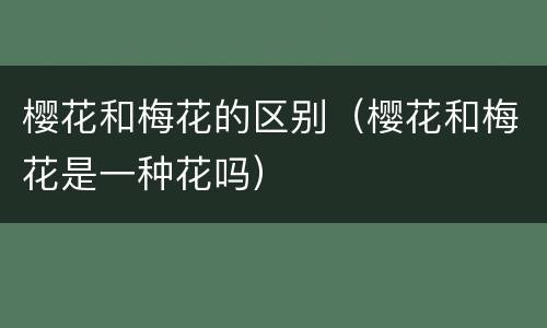 樱花和梅花的区别（樱花和梅花是一种花吗）