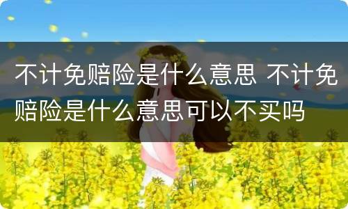 不计免赔险是什么意思 不计免赔险是什么意思可以不买吗