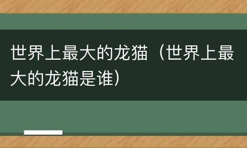世界上最大的龙猫（世界上最大的龙猫是谁）