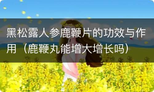 黑松露人参鹿鞭片的功效与作用（鹿鞭丸能增大增长吗）
