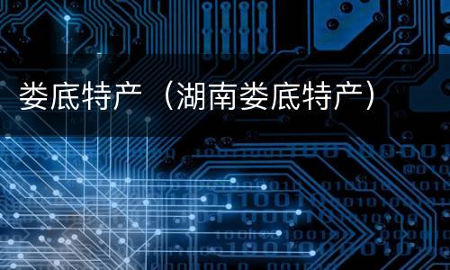 娄底特产（湖南娄底特产）