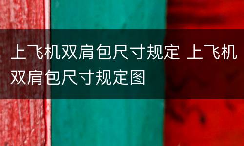 上飞机双肩包尺寸规定 上飞机双肩包尺寸规定图