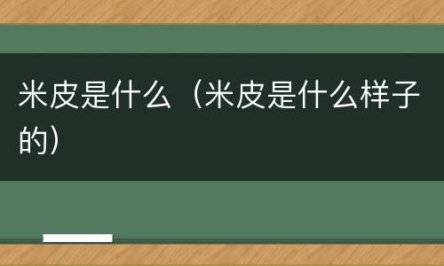 米皮是什么（米皮是什么样子的）