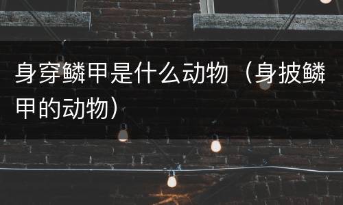 身穿鳞甲是什么动物（身披鳞甲的动物）