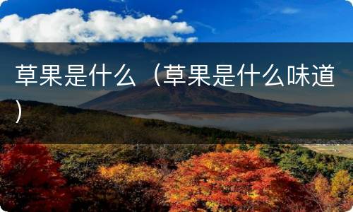 草果是什么（草果是什么味道）