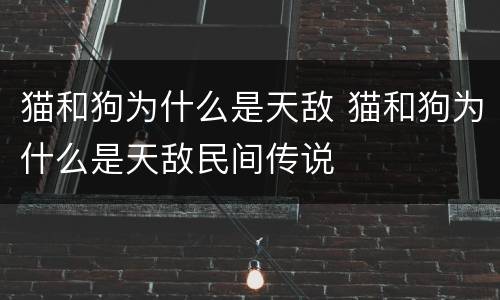 猫和狗为什么是天敌 猫和狗为什么是天敌民间传说