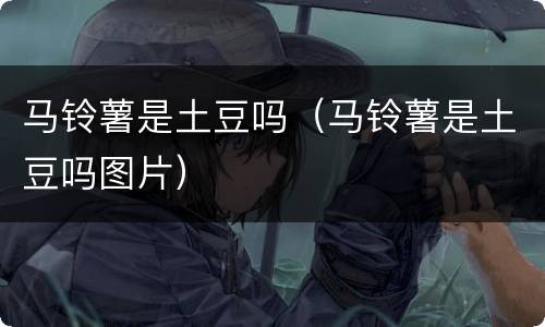 马铃薯是土豆吗（马铃薯是土豆吗图片）